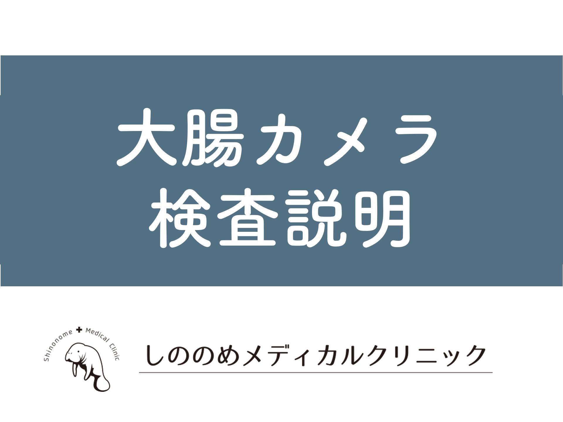 大腸カメラ検査説明